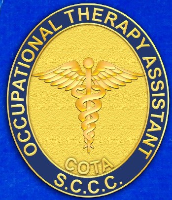 Occupational-Therapy-Assistant-Pin-2022---Web